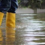 Metro Detroit Flood Recovery